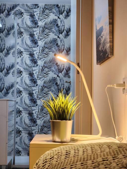 Apartament Piso De Diseno Elx Zewnętrze zdjęcie
