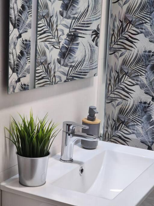 Apartament Piso De Diseno Elx Zewnętrze zdjęcie